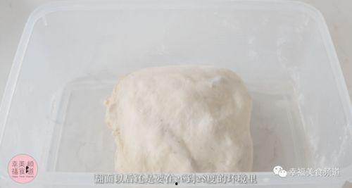 面粉发酵视频