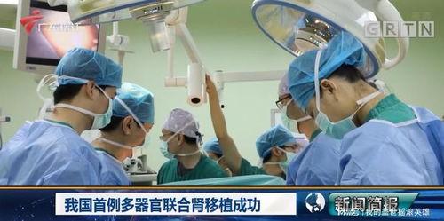 肾脏移植手术视频,技术革新与患者康复之路