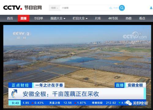 全椒视频直播,全景呈现魅力全椒，带你领略古韵新颜