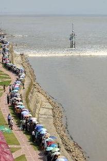 盐官潮视频,揭秘古老潮汐的壮丽奇观